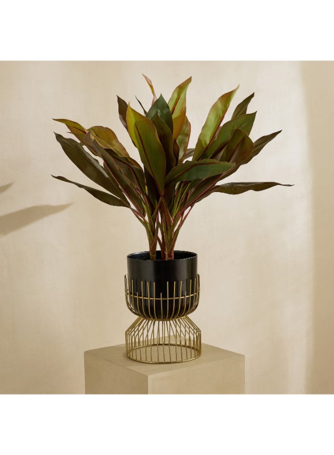 Home Box Premium Metal Planter Stand - Black and Gold - Image 1